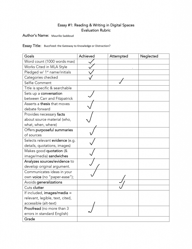 My completed rubric